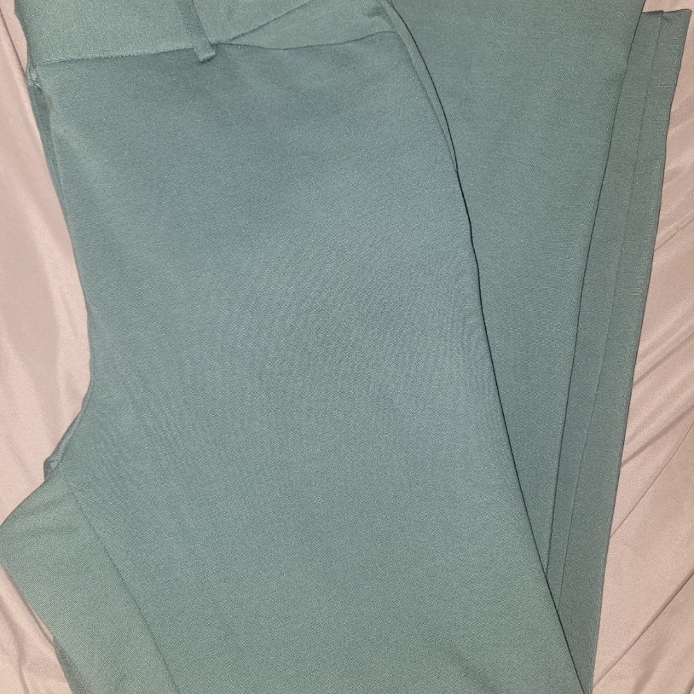 Liz Claiborne Forest Green Garment